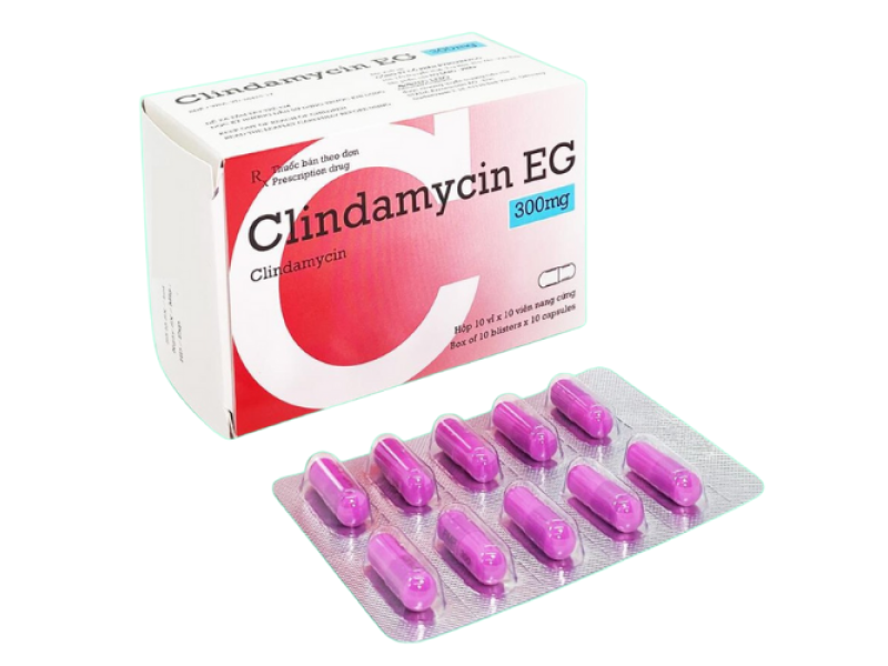 Clindamycin EG